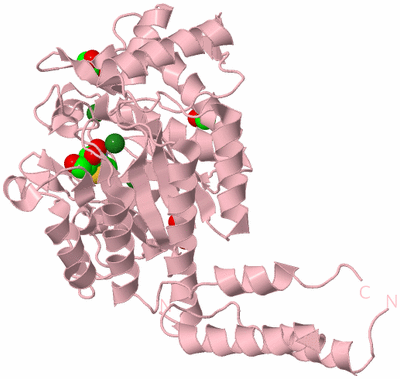 Image Biological Unit 3