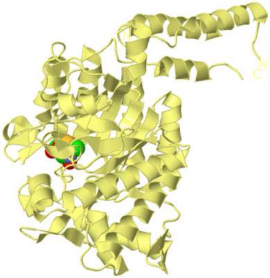 Image Biological Unit 4