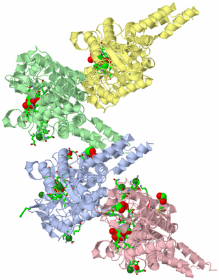 Image Asym. Unit - sites