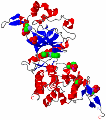 Image Asym./Biol. Unit