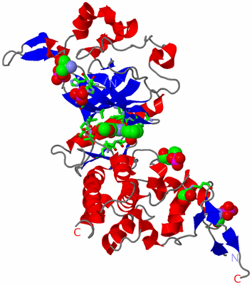 Image Asym./Biol. Unit - sites