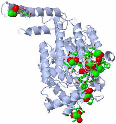 Image Biol. Unit 1 - sites