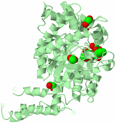 Image Biological Unit 2