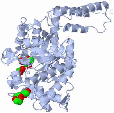 Image Biological Unit 1