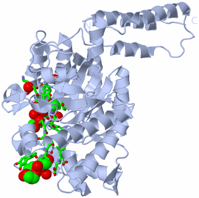 Image Biol. Unit 1 - sites