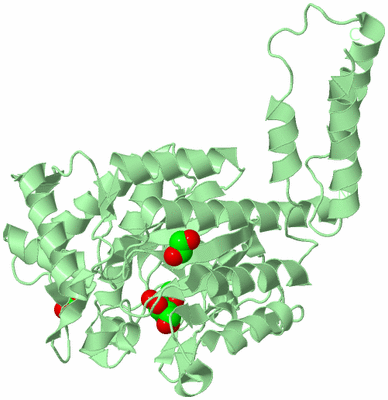 Image Biological Unit 2