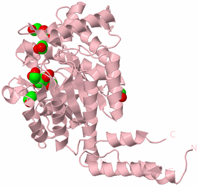 Image Biological Unit 3