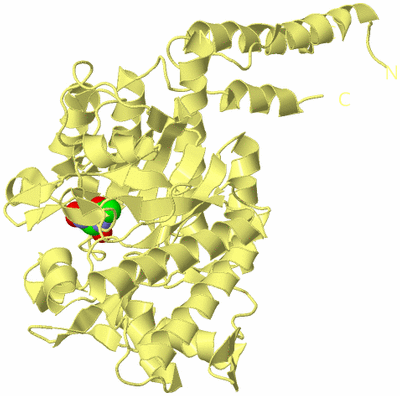 Image Biological Unit 4