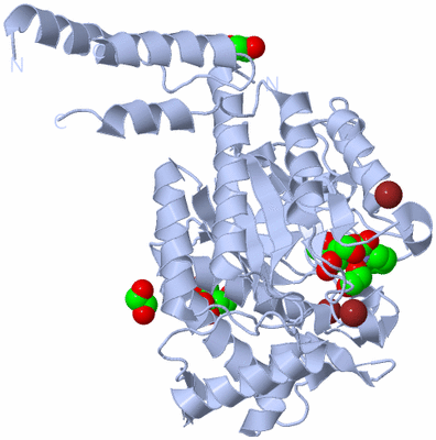 Image Biological Unit 1