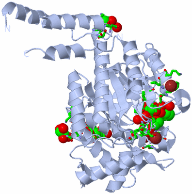 Image Biol. Unit 1 - sites