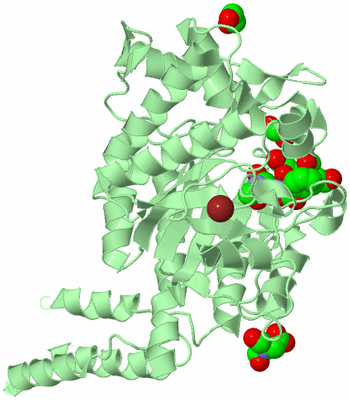 Image Biological Unit 2