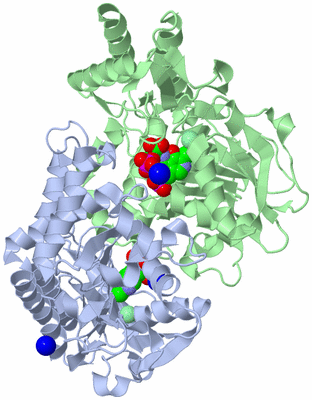 Image Asym./Biol. Unit