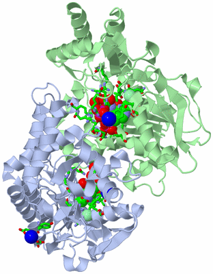 Image Asym./Biol. Unit - sites