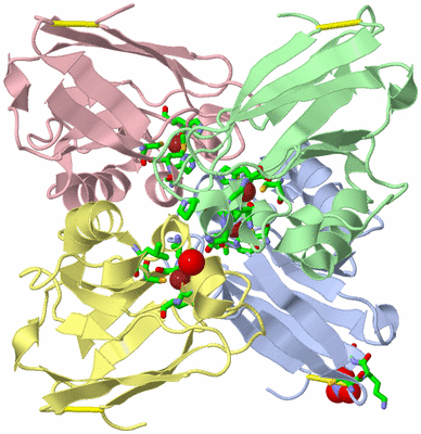 Image Asym./Biol. Unit - sites