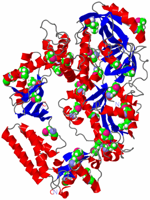 Image Asym./Biol. Unit