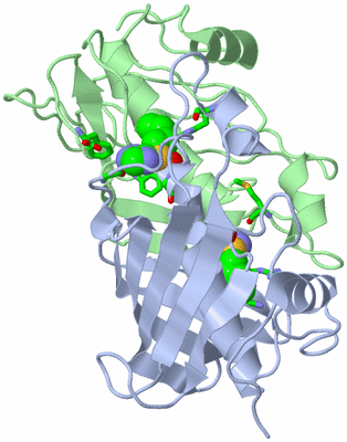 Image Biol. Unit 1 - sites