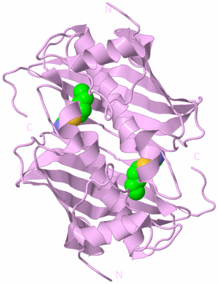 Image Biological Unit 3