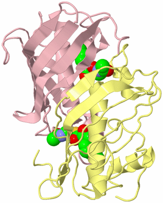 Image Biological Unit 1