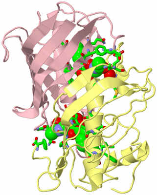 Image Biol. Unit 1 - sites