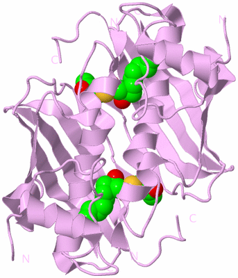 Image Biological Unit 3