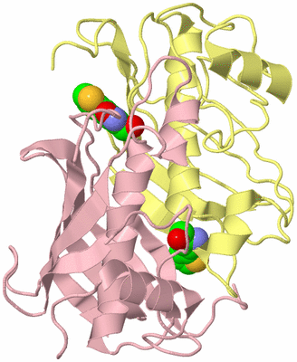 Image Biological Unit 2