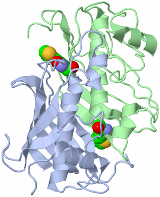 Image Biological Unit 3