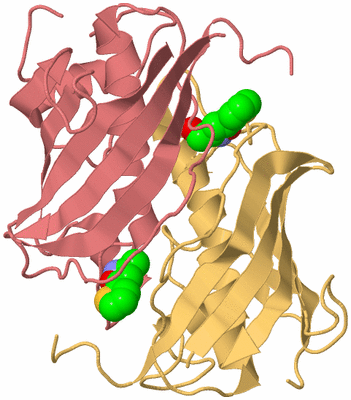 Image Biological Unit 4