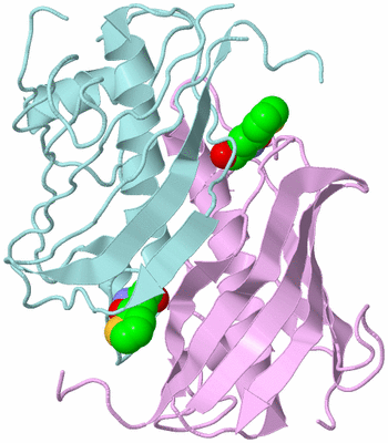 Image Biological Unit 5