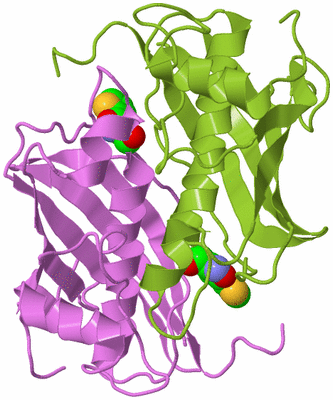 Image Biological Unit 6