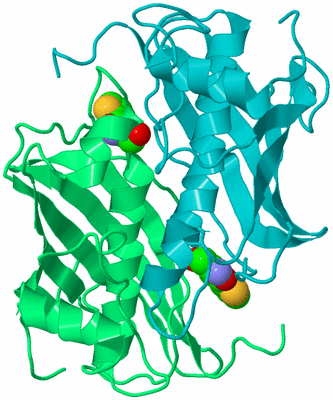 Image Biological Unit 7