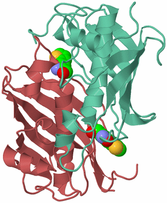 Image Biological Unit 8