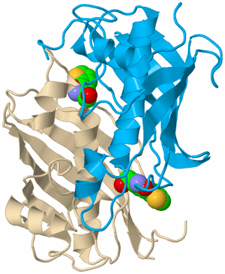 Image Biological Unit 9