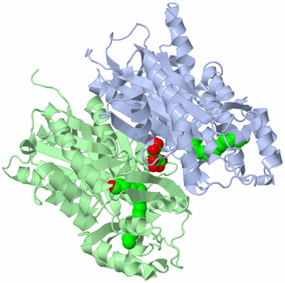 Image Asym./Biol. Unit