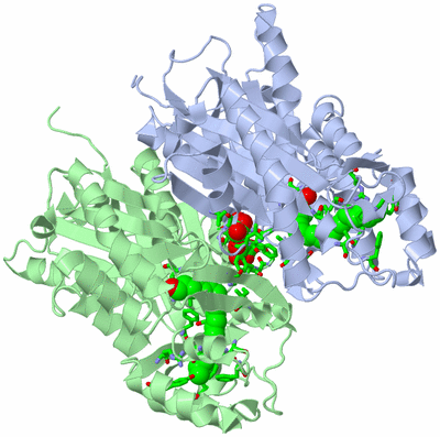 Image Asym./Biol. Unit - sites