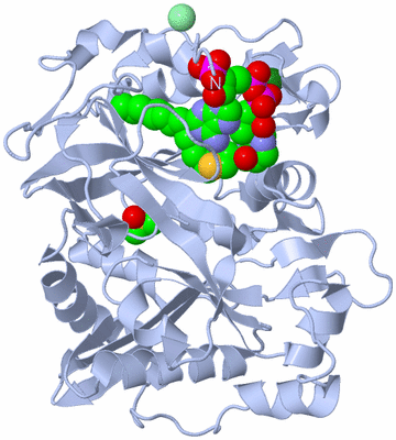 Image Biological Unit 1