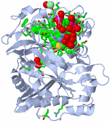 Image Biol. Unit 1 - sites