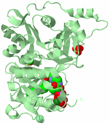 Image Biological Unit 2