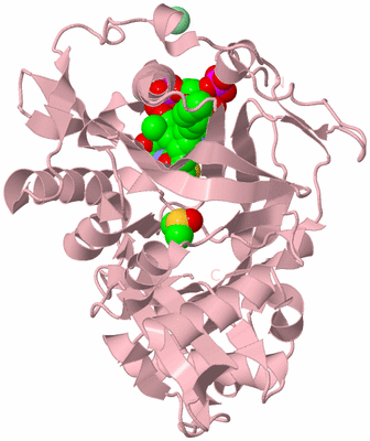 Image Biological Unit 3