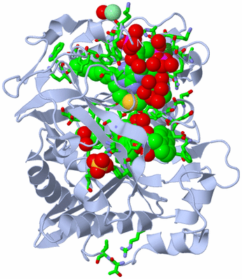 Image Biol. Unit 1 - sites