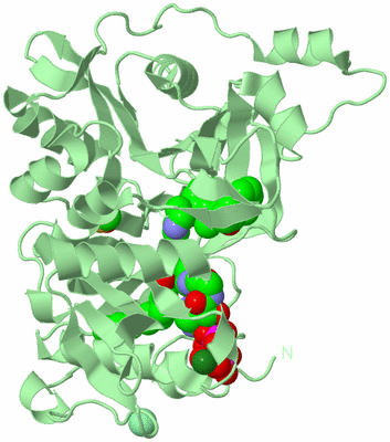 Image Biological Unit 2