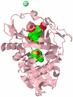 Image Biological Unit 3