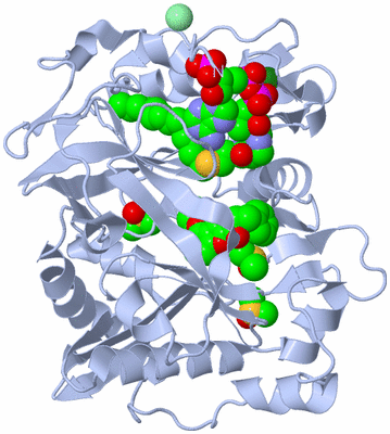 Image Biological Unit 1