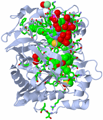 Image Biol. Unit 1 - sites