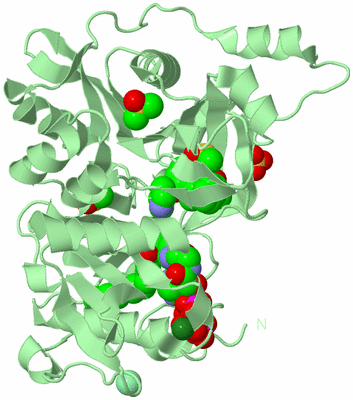 Image Biological Unit 2