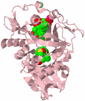 Image Biological Unit 3