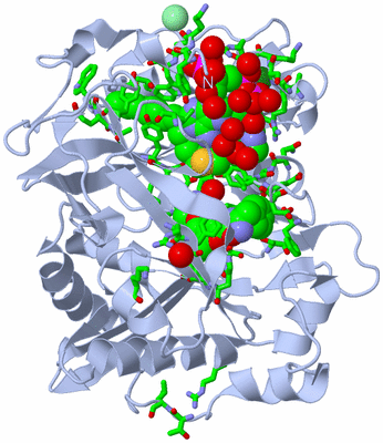 Image Biol. Unit 1 - sites