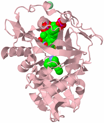 Image Biological Unit 3