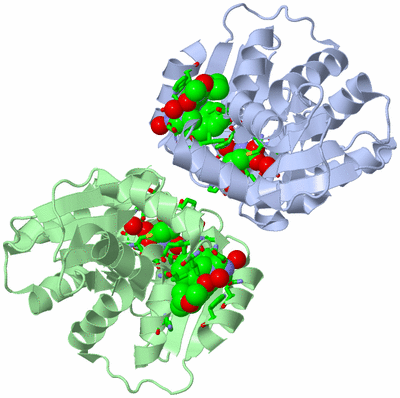 Image Asym./Biol. Unit - sites