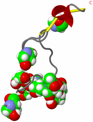 Image NMR Structure - model 1