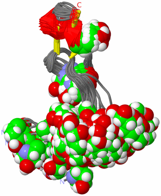 Image NMR Structure - all models